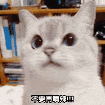 艮圖|GIF 梗圖產生器